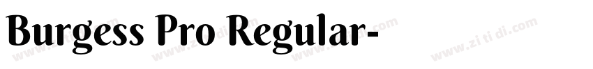Burgess Pro Regular字体转换